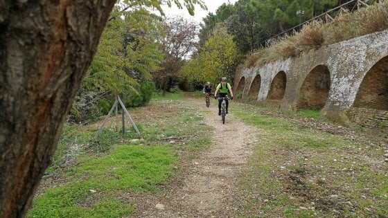 ciclo.jpg