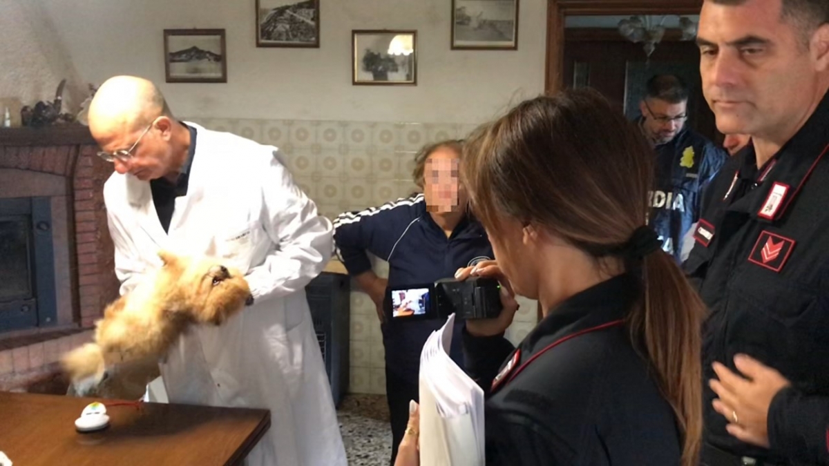 Presentazione-standard1.jpg